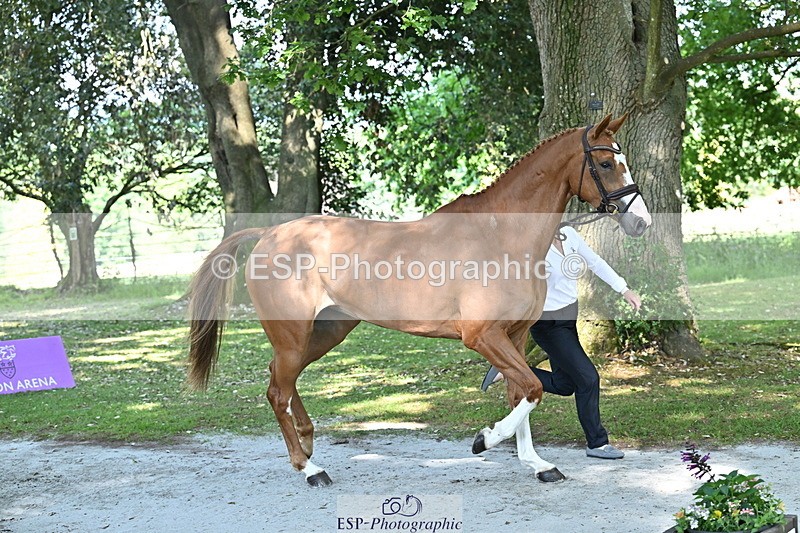 250521A-160230-00879 - C-227-Jonelle.Price-I.LIKE.IT.DE.ROHAN