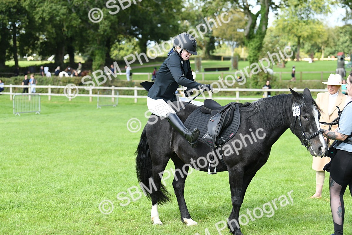 SBM_46841 - S12 - Family Horse & Pony