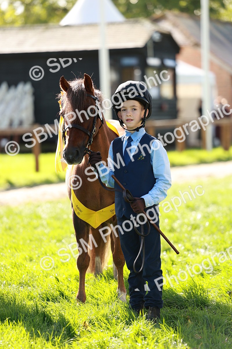 SBM_42165 - S32 - Mountain & Moorland Working Hunter Pony