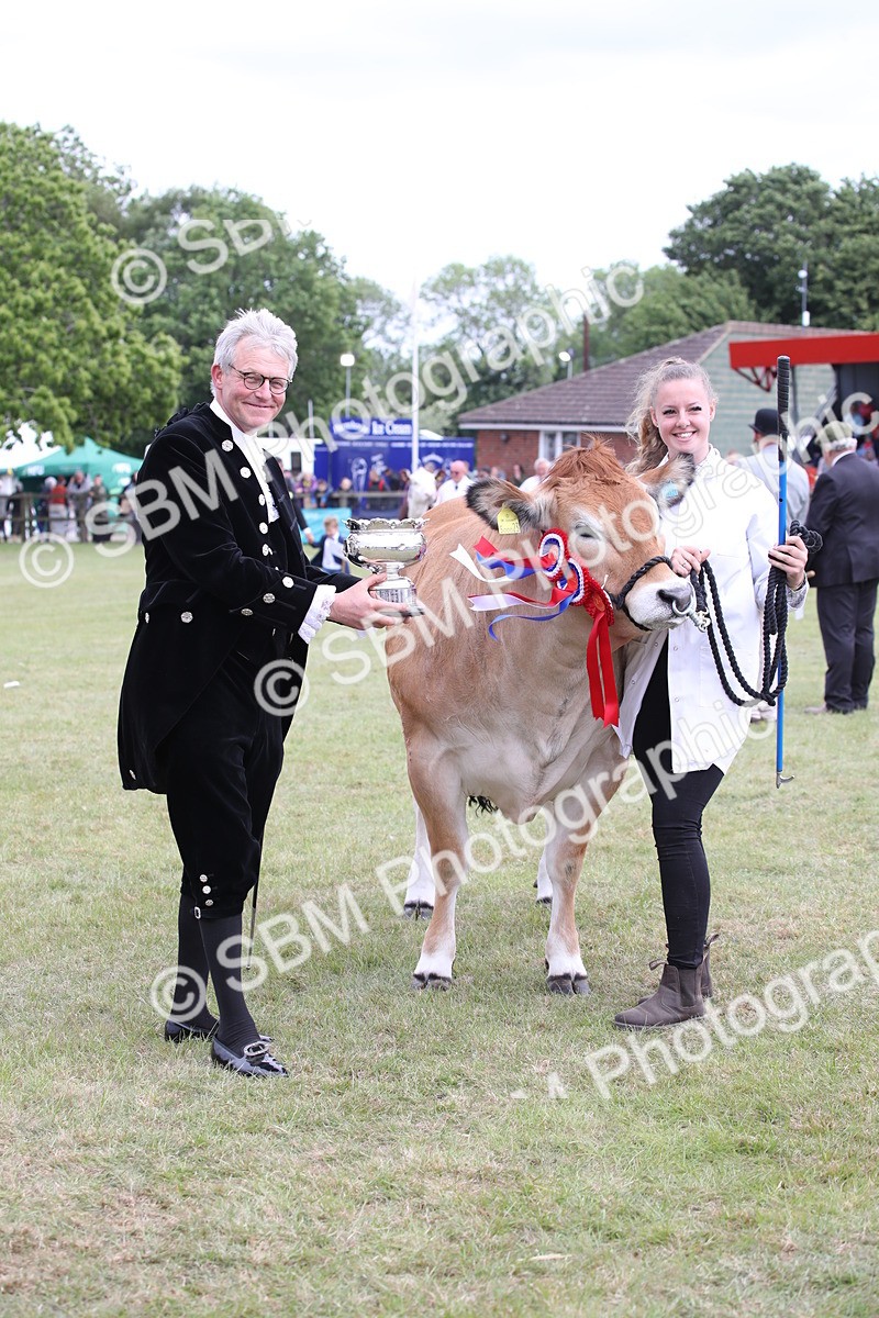 SBM_07903 - Grand Parade