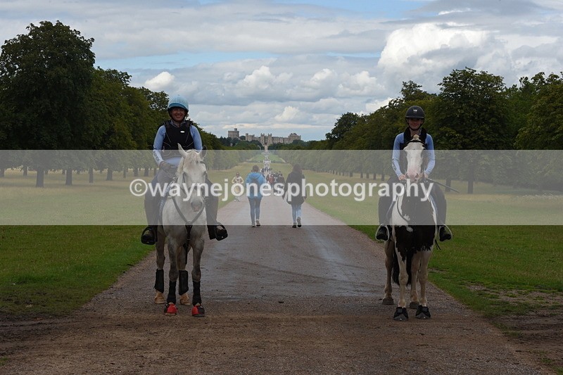 TT3_0381 - Time at Crossing 14:53 to 1526