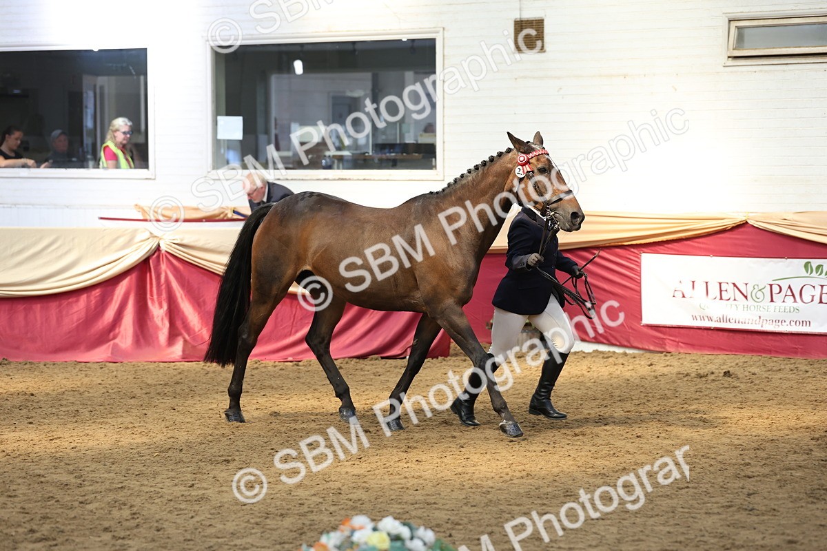 SBM_24131 - Class 905 - Supreme Final - Ridden Veteran