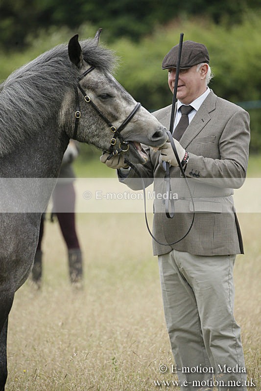 B230619-0062 - Bourne Valley Riding Club Summer Show 23/06/19