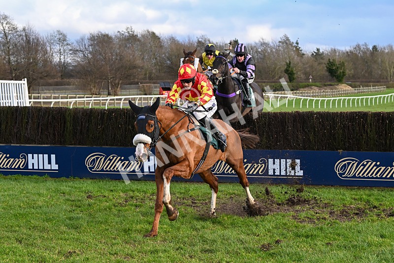 020224-Race 4-Treaty Boy-8343 - Race 4