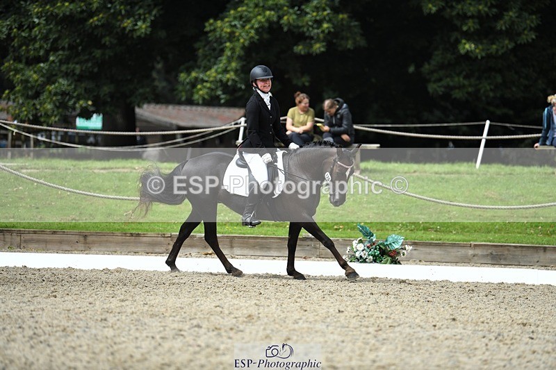 230812-121643-04077 - Cls 6 Novice Silver 12.10 to End