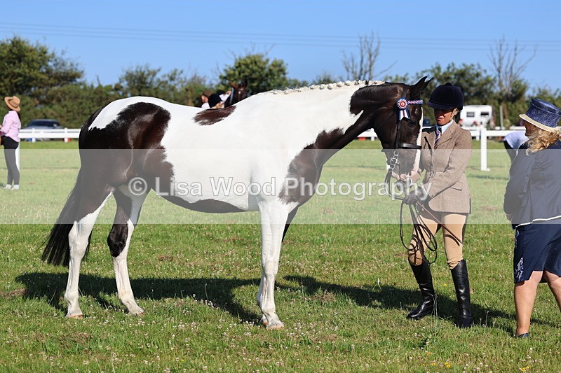 IMG_1332 - Class 27: Ridden Plaited Coloured Horse