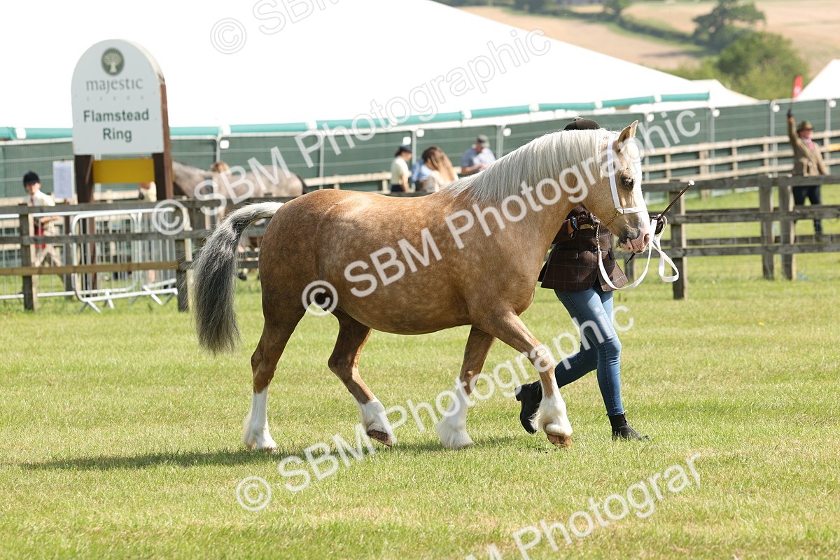 SBM_02129 - Class 6-13 - Mountatin and Moorland In Hand Welsh Breeds