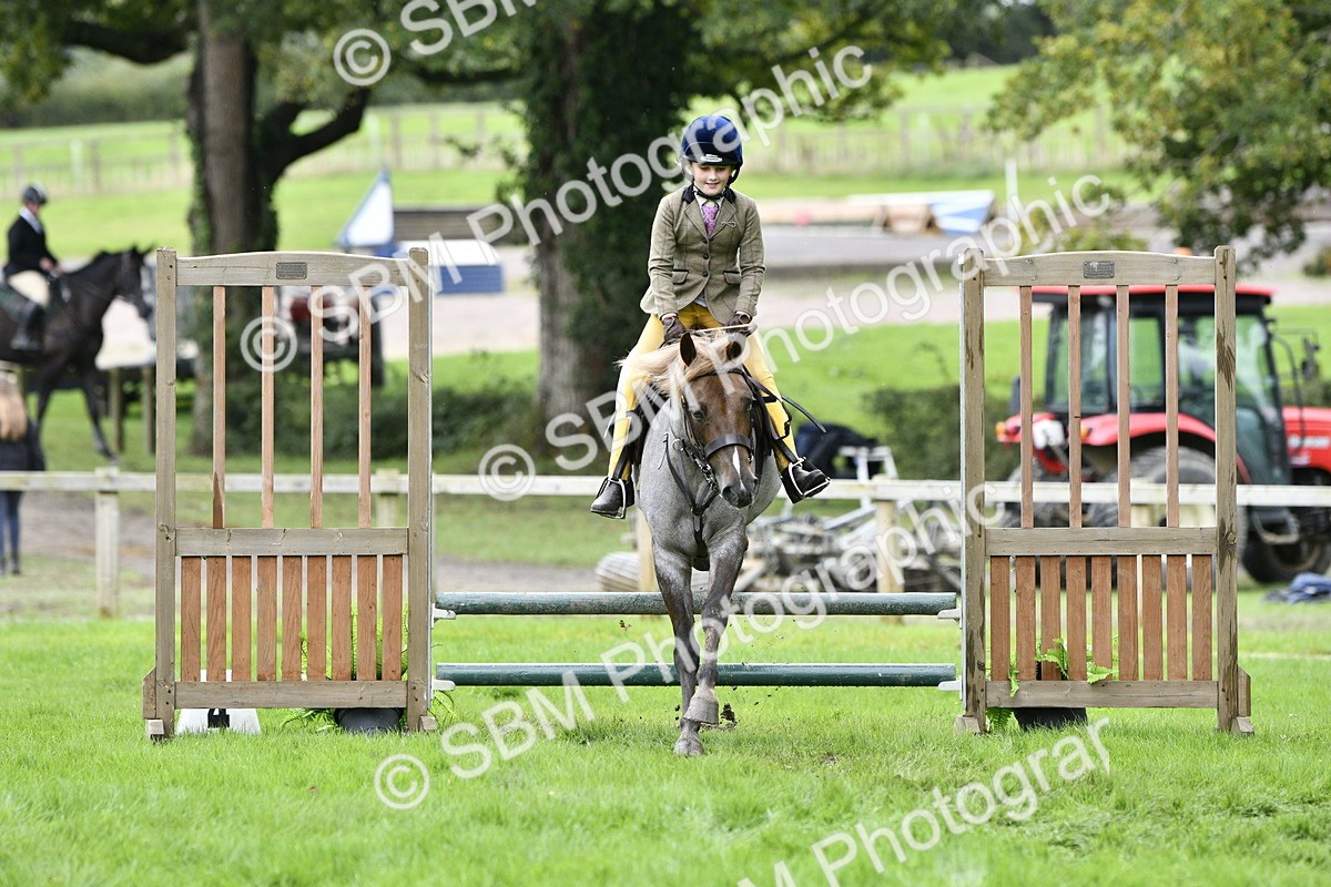 SBM_41325 - S32 - Mountain & Moorland Working Hunter Pony