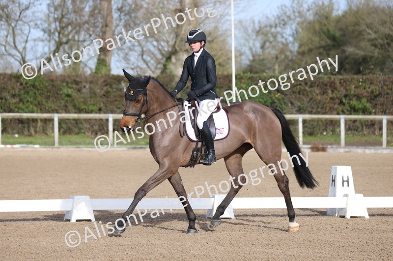 20260128-0347 - Class 3 - Novice 4