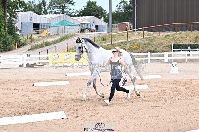 250716-130411-00303 - Trot Up 12.30 to 1.30