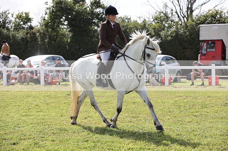 JPP_2586 - Class 20: Working Hunter 70cm