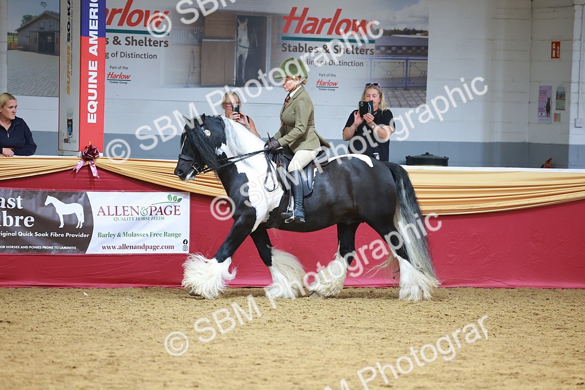SBM_06266 - Class 12R - Ridden Pre-Vet