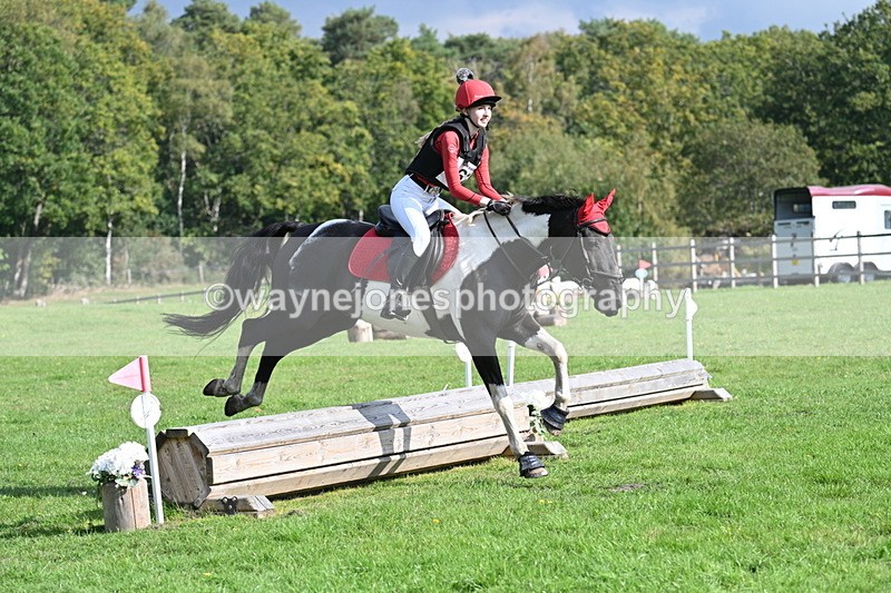 WJ7_4878 - 60cm Time 11:11 to 11:19