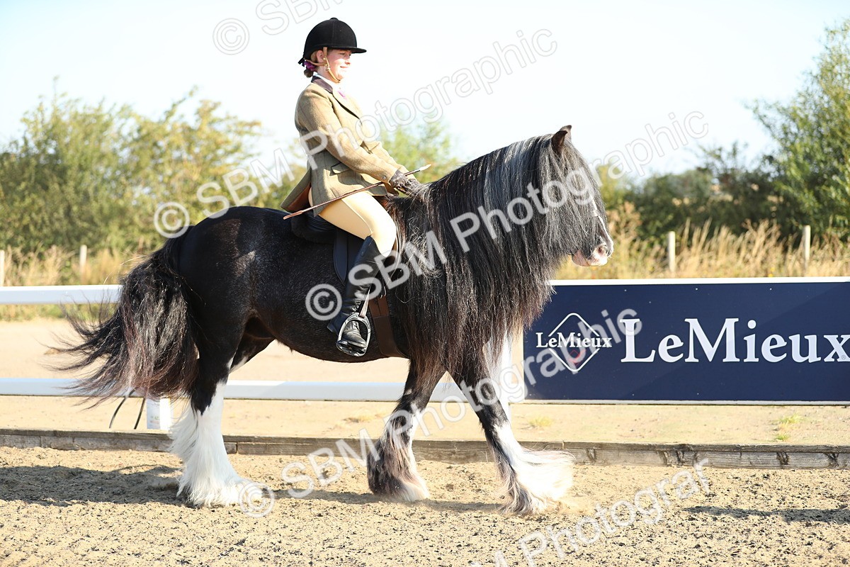 SBM_00368 - Class 41 Best Turned Out Ridden