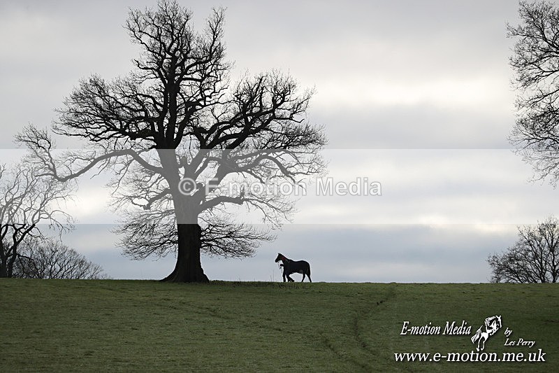 PtP 291224 56 - Harkaway Club PtP Chaddesley Corbett 29/12/24