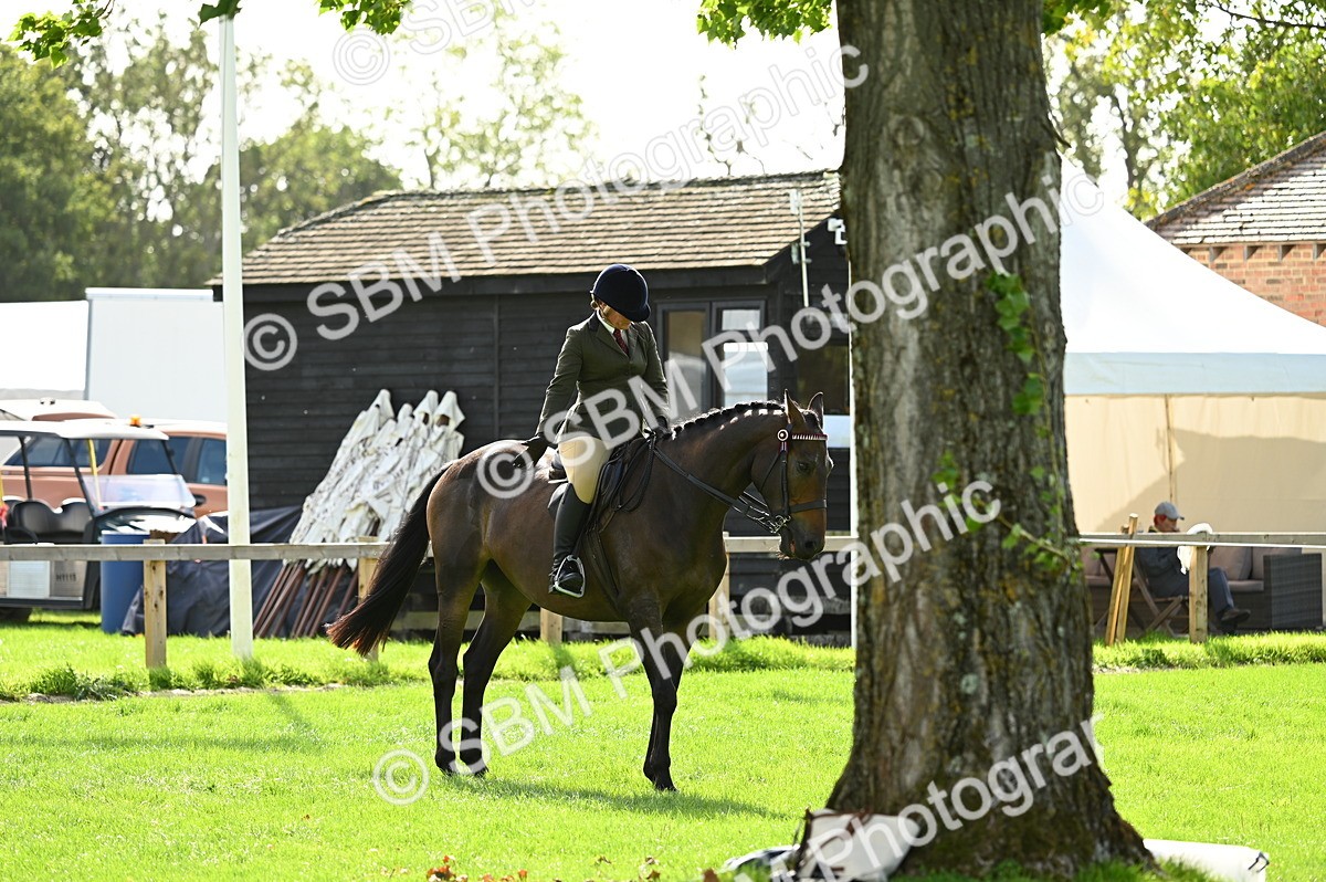 SBM_01795 - S2 - TSR Ridden Horse Showing