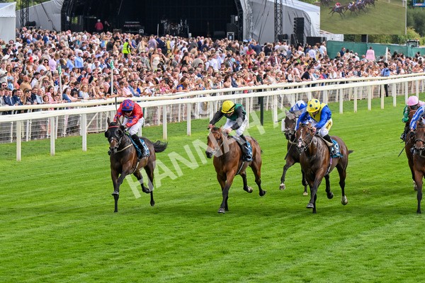 260725-Race 7-Chesneys Charm-0894 - Race 7 5.00pm Sky Bet Extra Places Every Day Handicap