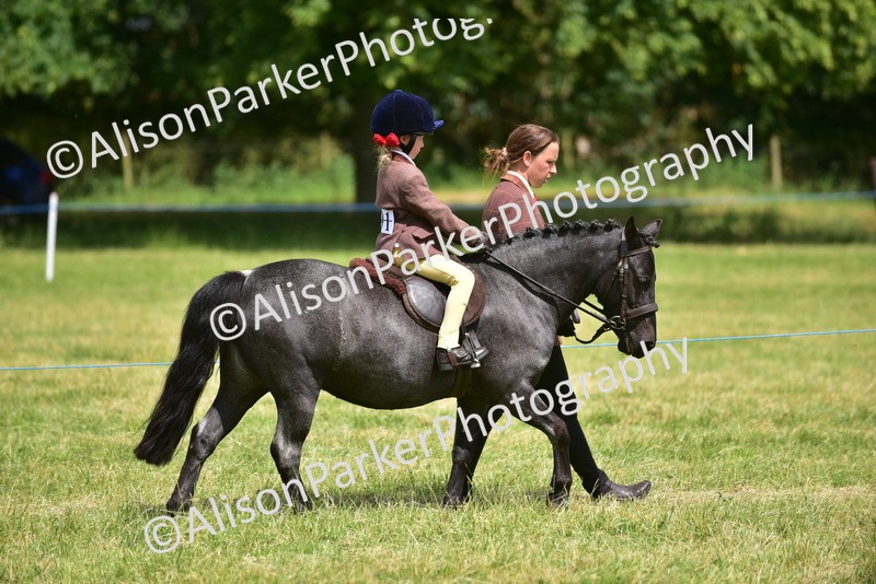 20260614-1349 - Class 11b - Lead Rein Pony (Plaited)
