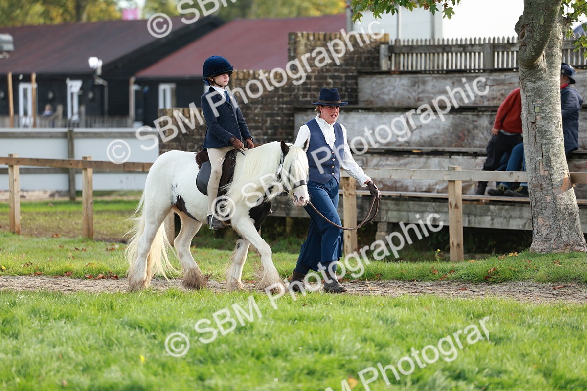 SBM_56289 - S39 - Starters In Hand Showing