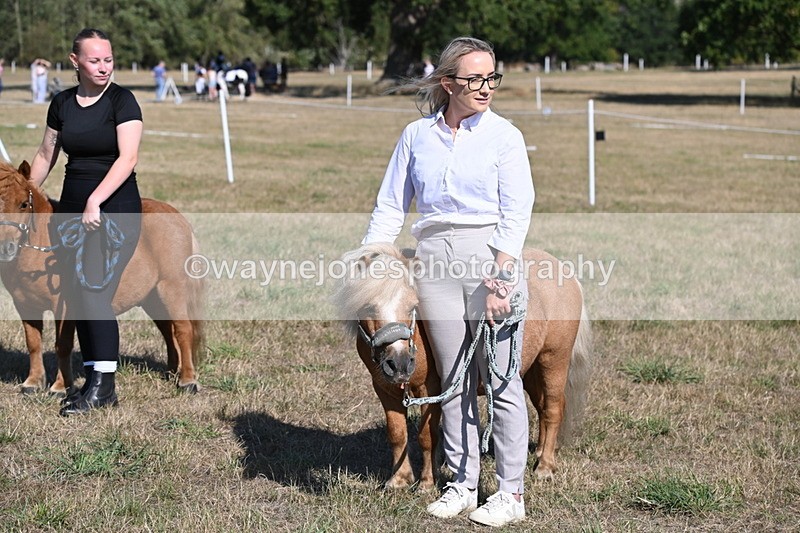 WJ6_7331 - Class 33 Rescue Pony