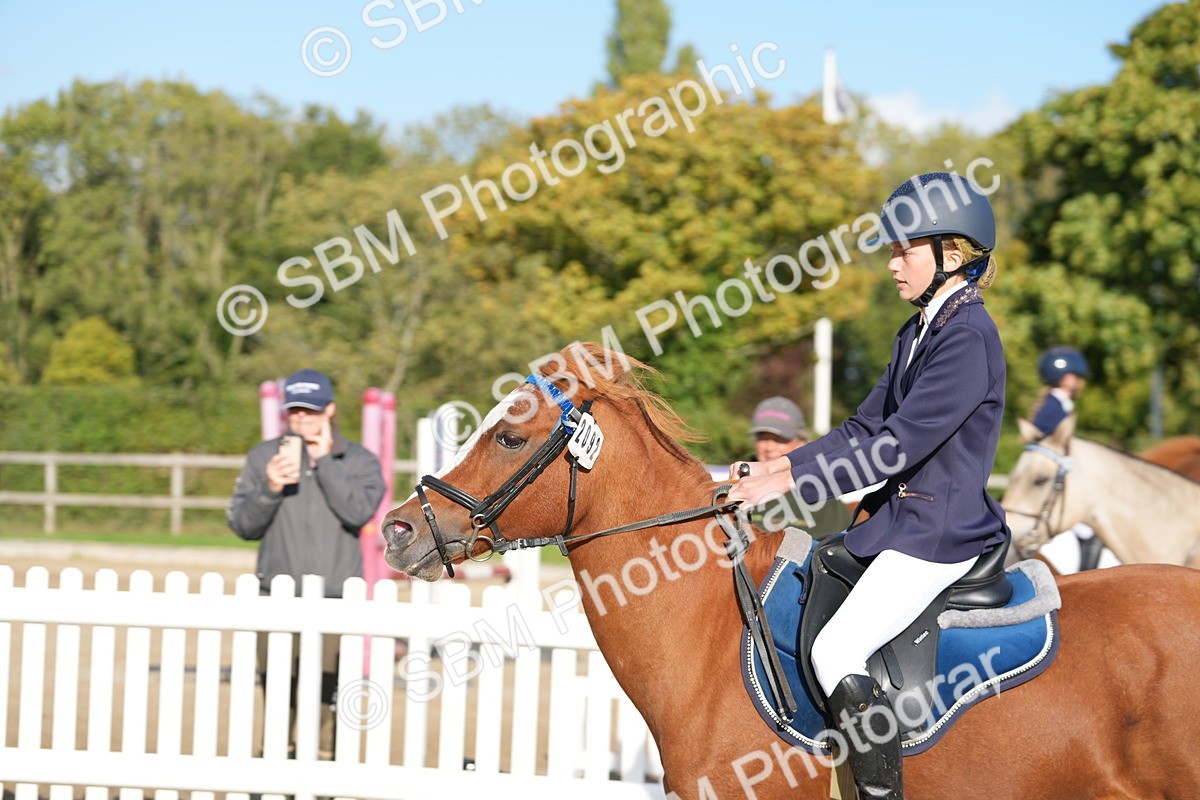SBM_51165 - J8 - Junior Pony 65cm Championship
