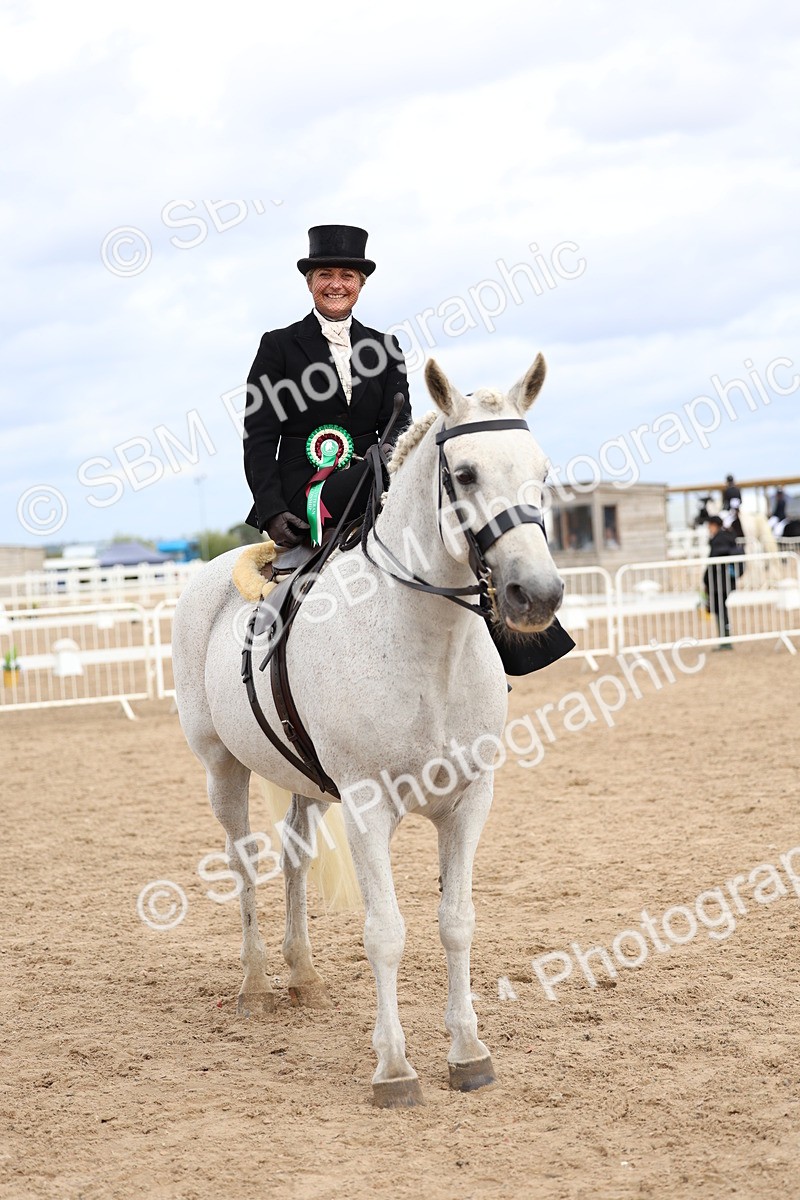 SBM_03479 - Class 24 - SSA Concours d'elegance (any age)