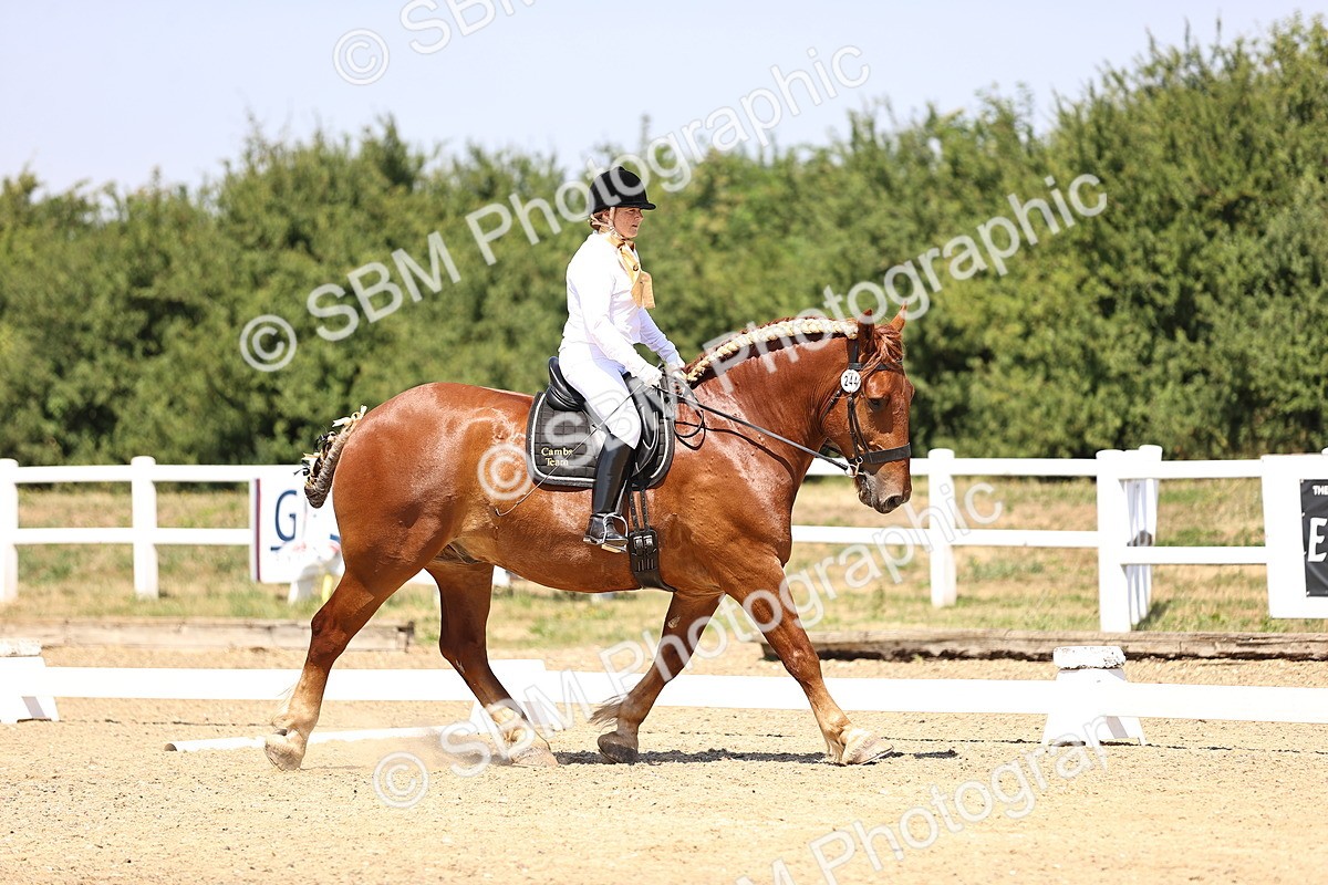 SBM_004127 - Intro 2