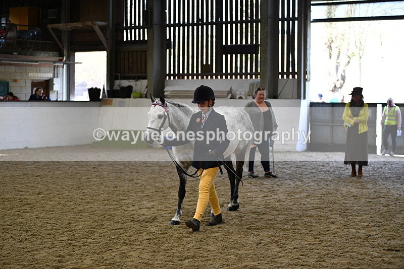 WJ5_4480 - Class 3 Part Bred In hand