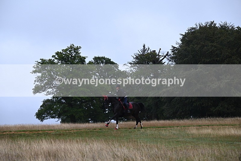 DSC_1692 - Time at Statue 12:13 to 12:32
