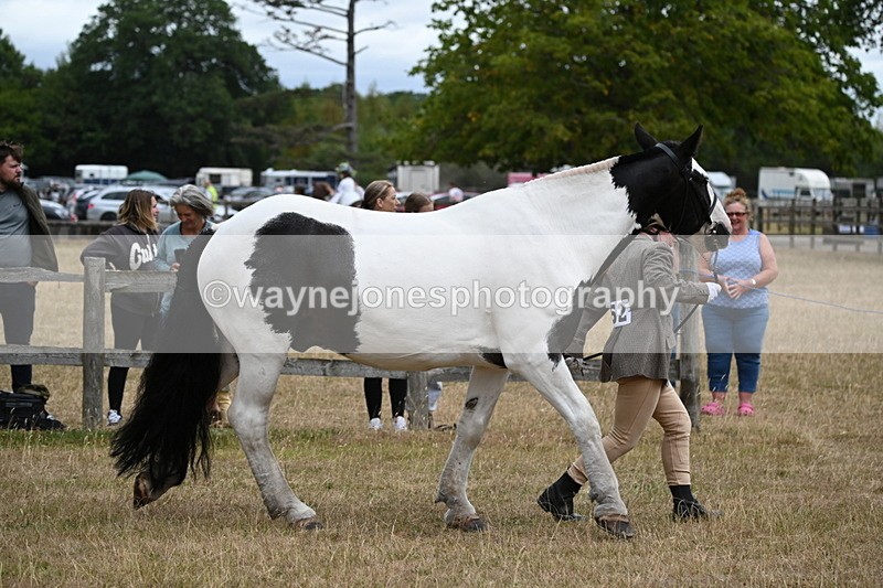 WJ6_8371 - Class 10 Coloured in Hand