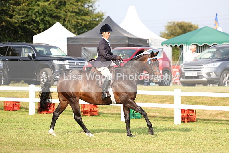 3E7A7701 - Class 1: Rising Star Small Hack/Riding Horses