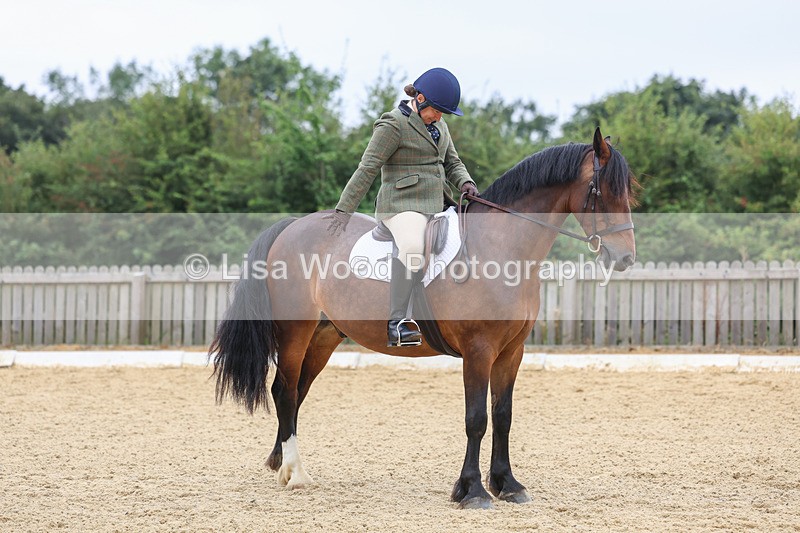 3E7A5213 - Class 2: Intro 4 2024 section B