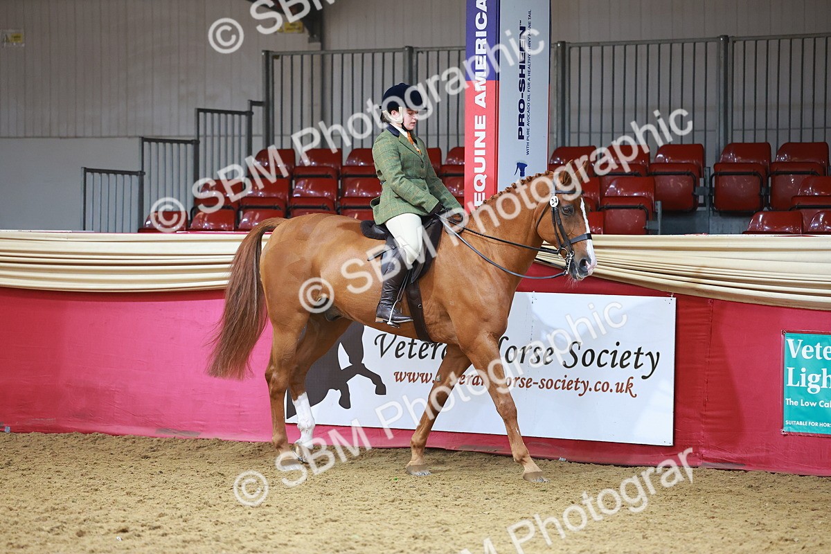 SBM_09569 - Class 102 - HOYS Veteran Qualifier - Ridden Veteran