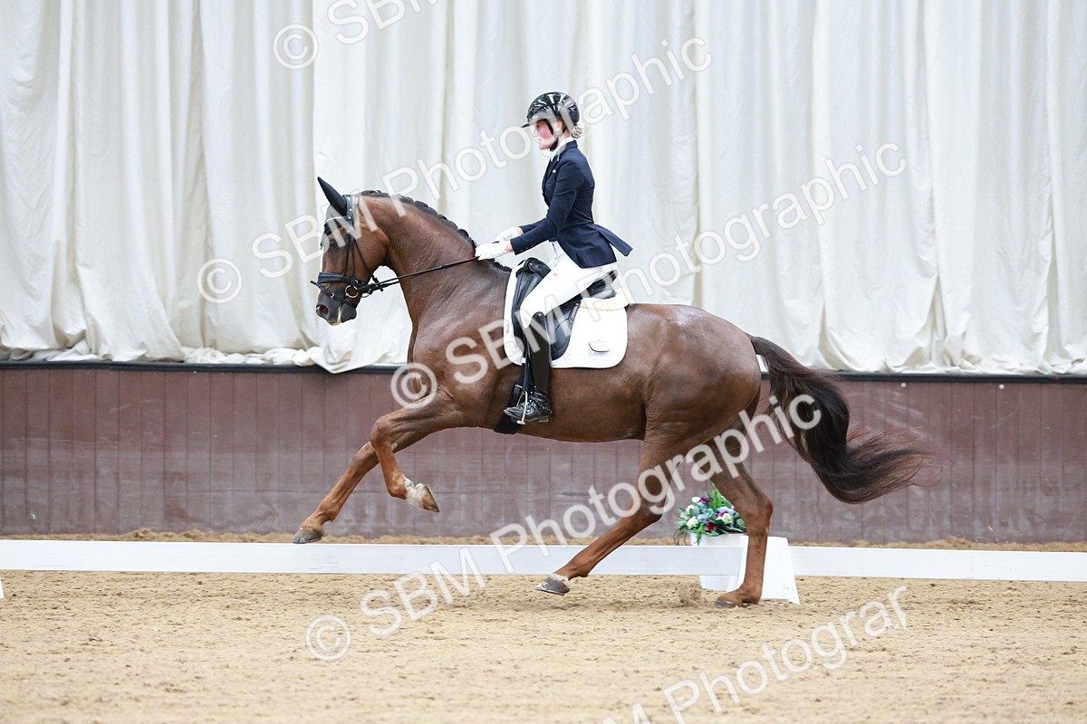 SBM_017995 - Class 15 - FEI Junior