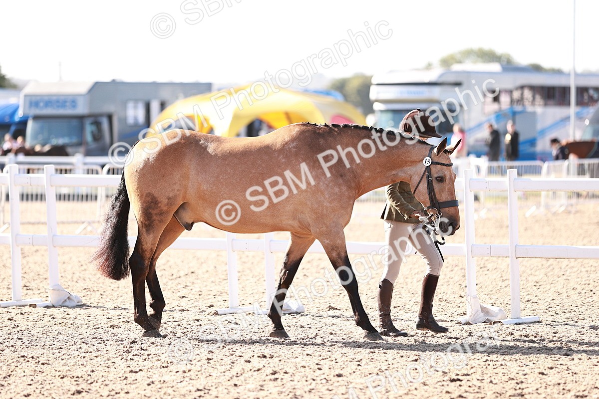 SBM_22052 - Class 703 - IH Coloured