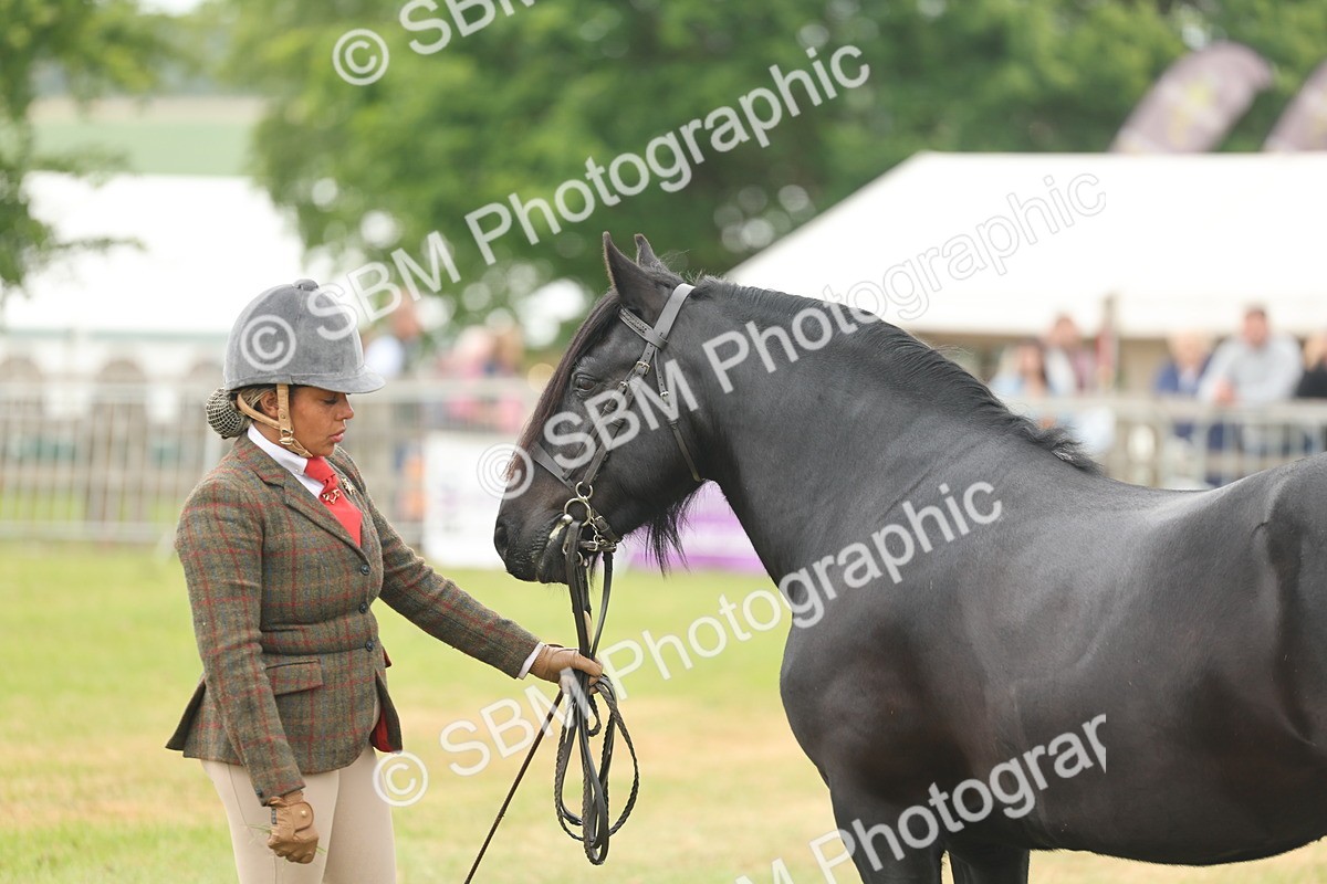 SBM_08990 - Class 78-80 - Ridden M&M Non Welsh Ponies