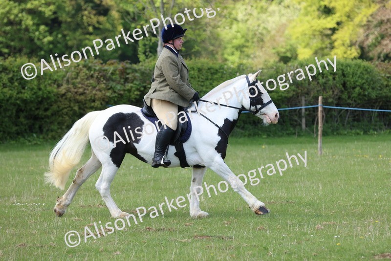 20250427-2655 - Class 20 - Working Hunter Ponies