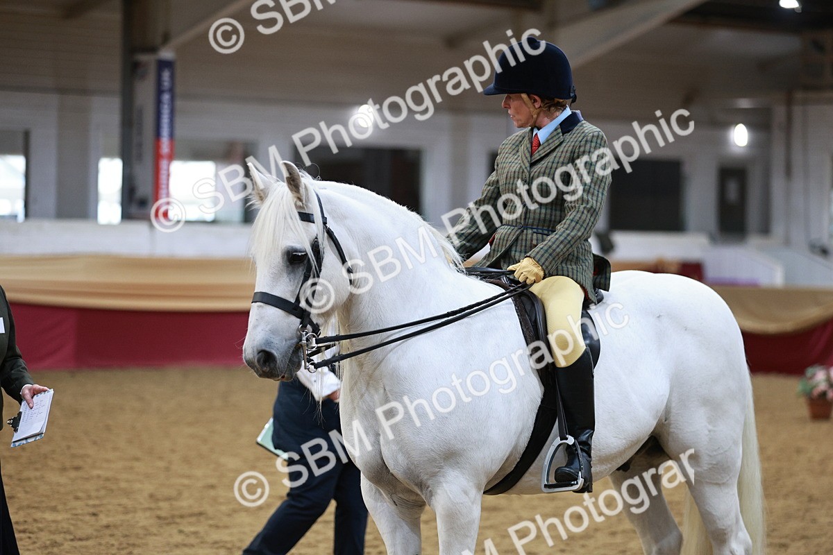 SBM_08241 - Class 11R - Regional Ridden Veteran