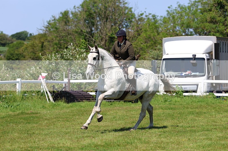 3E7A8096 - Working Hunter Championship