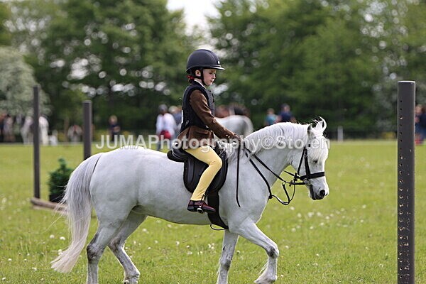 IMG_2239 - Working Hunter