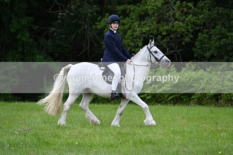 WJ7_2578 - Class 12A Coloured Class