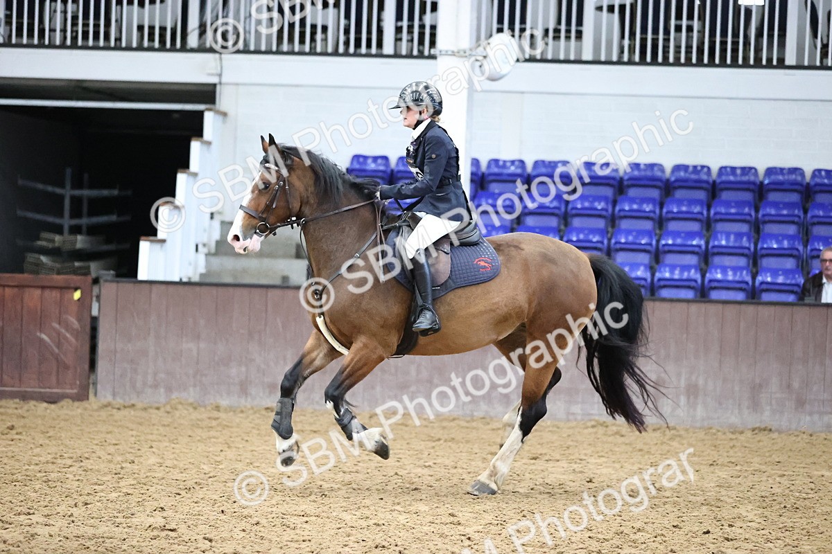 SBM_001668 - Class 5 - Henlow Veterinary Hospital - 70cm Area 12 Championship Qualifier