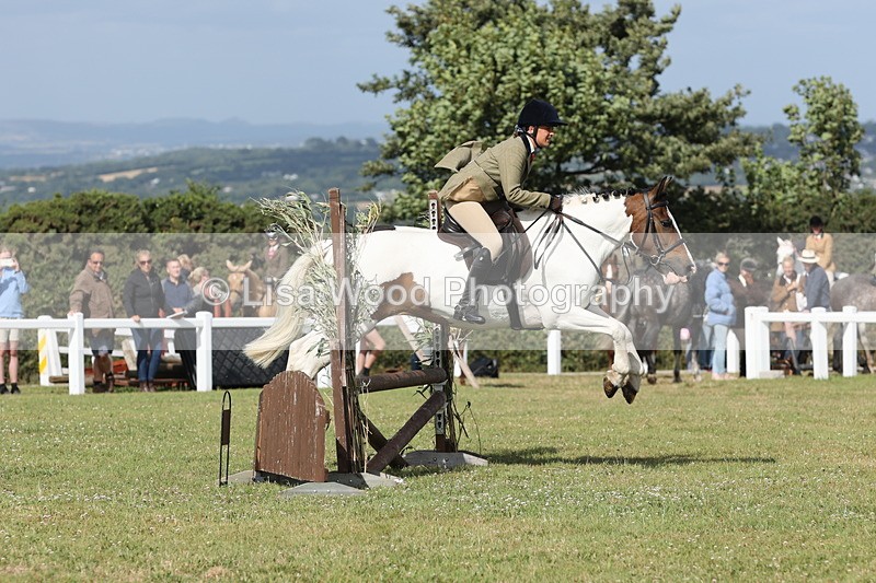 JPP_2800 - Class 20: Working Hunter 70cm