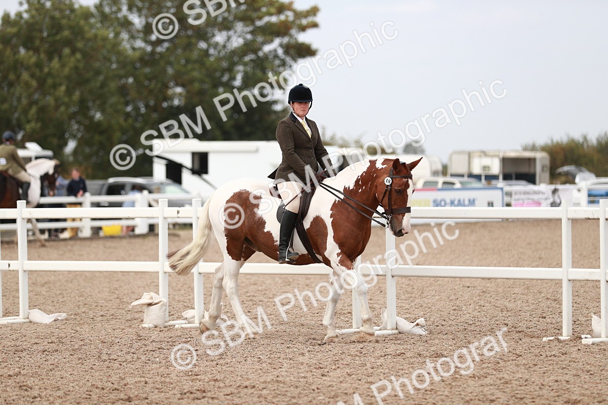 SBM_16574 - Class 214 Ridden Cob