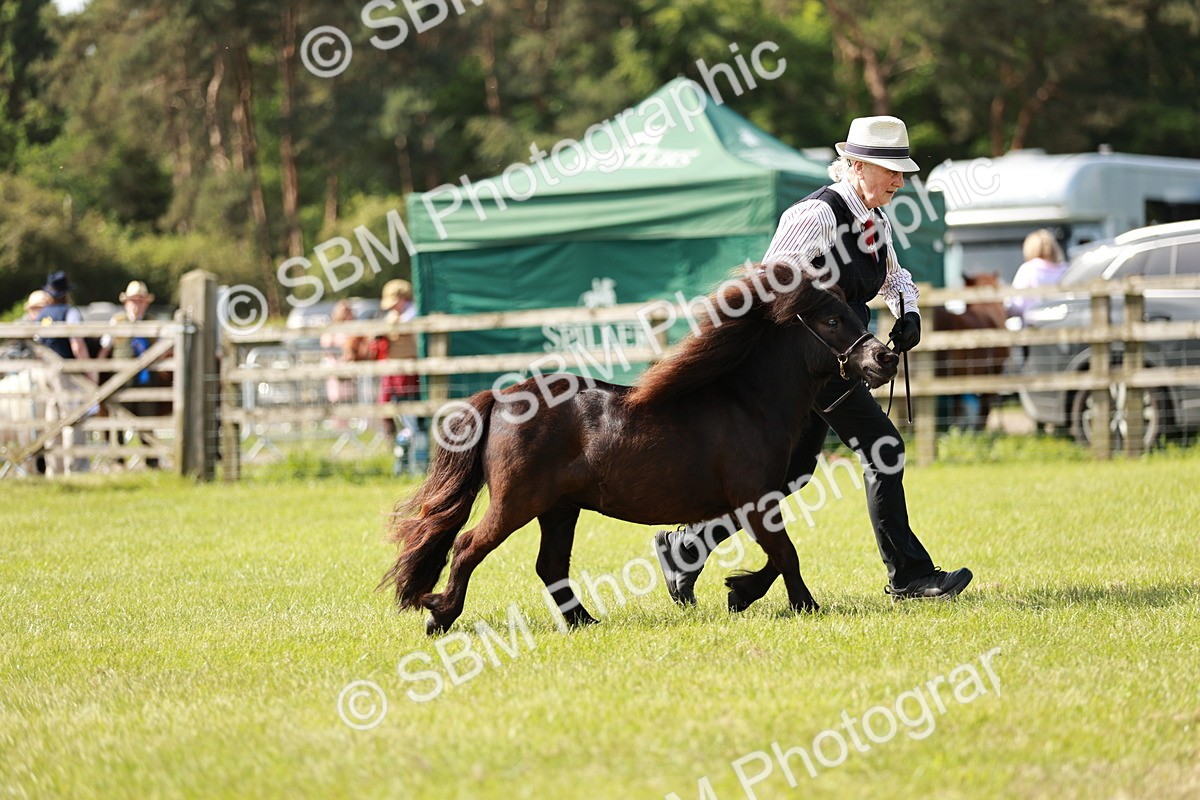 SBM_01884 - Class 14-23 - Mountain & Moorland In Hand Non Welsh