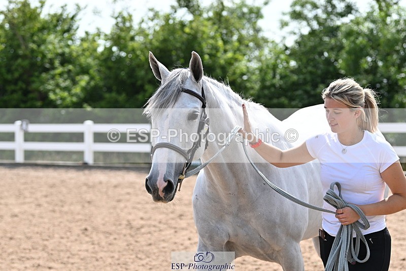 240717A-160034-03258 - Trot Up 4pm to 5pm