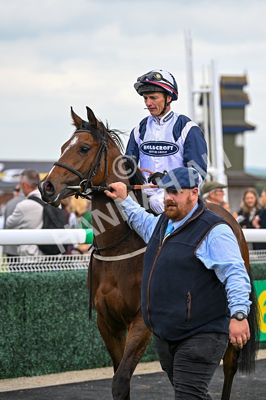 240525-Race 2-Argentine Tango-0342 - Race 2