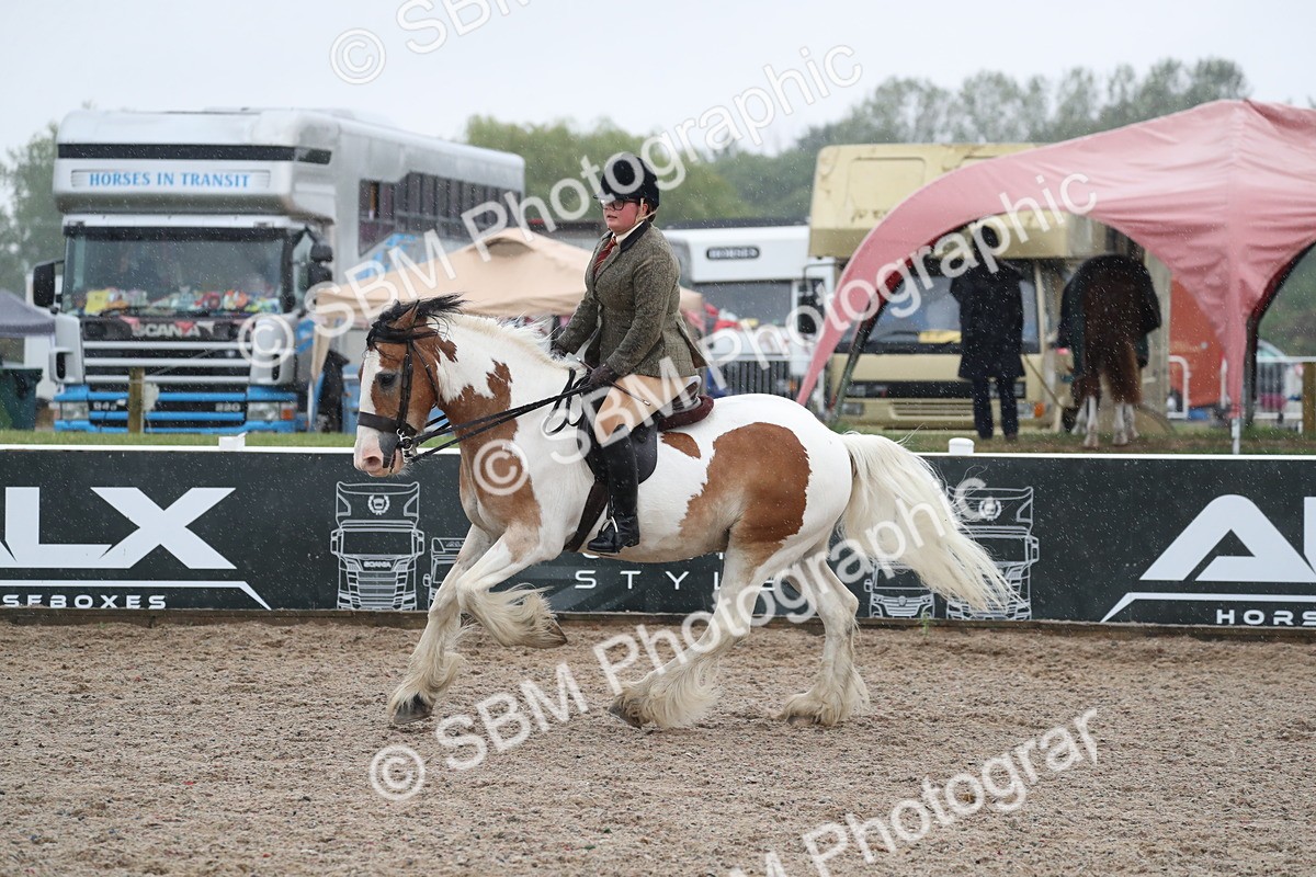 SBM_20450 - Class 601 - 2025 Area - Ridden Diamond