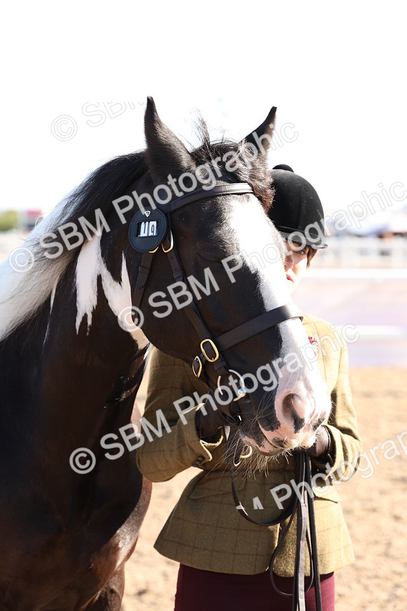 SBM_11745 - Class 204 - Young Handler 11 to 16 years