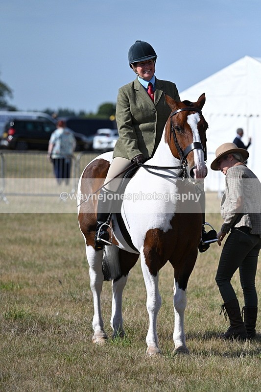 WJ7_2737 - Class 8 Ridden Tack & Turnout